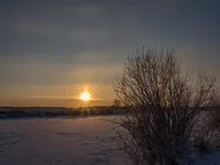 img of Warm Winter