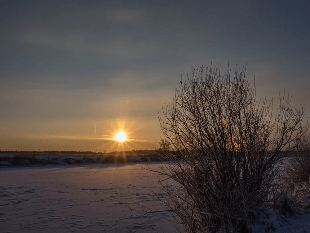 img of Warm Winter