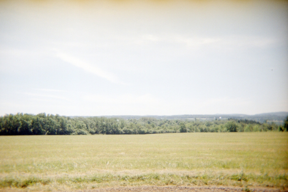 img of A Summer Farewell