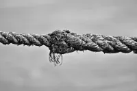 img of Frayed