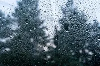 img of Rain, Regardless