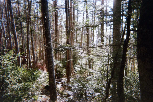 img of Somewhere Sometime Soon