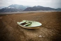 img of Stay or Grow